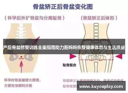 产后骨盆修复训练全面指南助力新妈妈恢复健康体态与生活质量